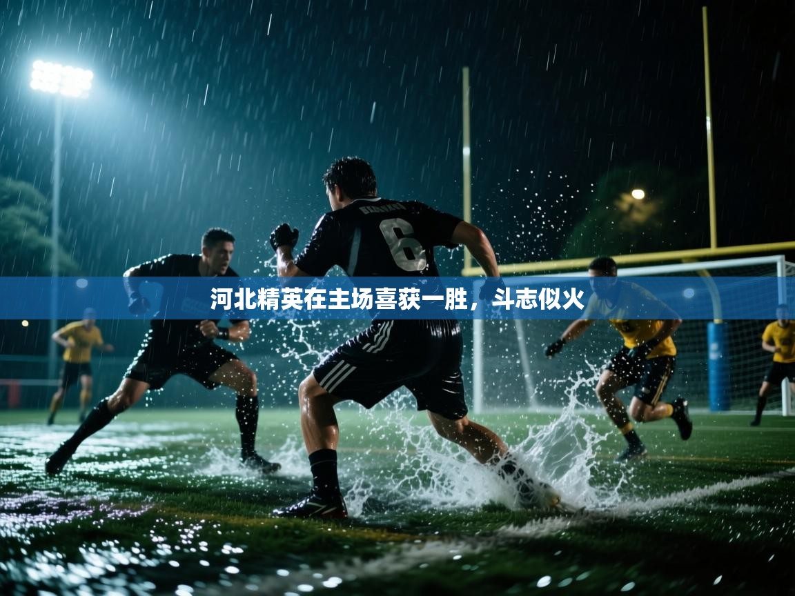 河北精英在主场喜获一胜,斗志似火 第1张