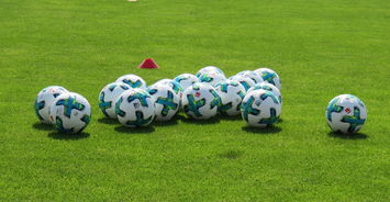 爱游戏登录-沃尔夫斯堡客场战平勒沃库森，德甲争议裁判引热议，沃尔夫斯堡对比勒菲尔德比赛结果